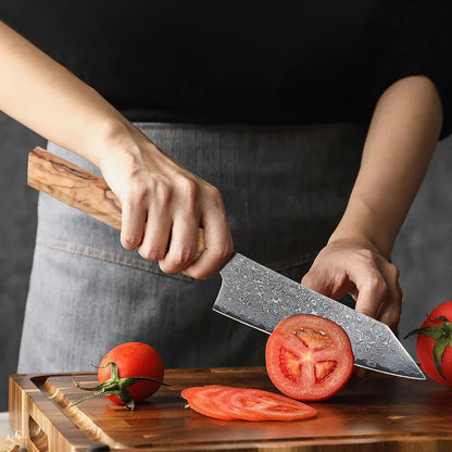 5-Inch Handmade 67-Layer Damascus Steel Chef Knife AUS-10 Core Brown-2