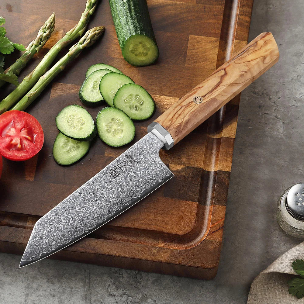 5-Inch Handmade 67-Layer Damascus Steel Chef Knife AUS-10 Core Brown-1